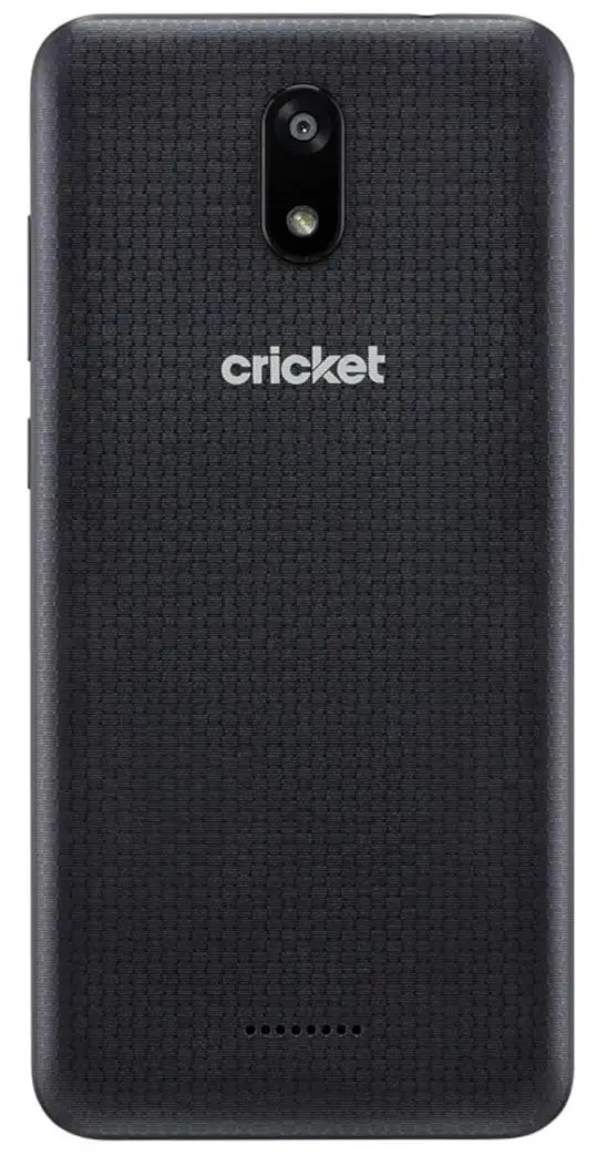 Cricket Icon Camera